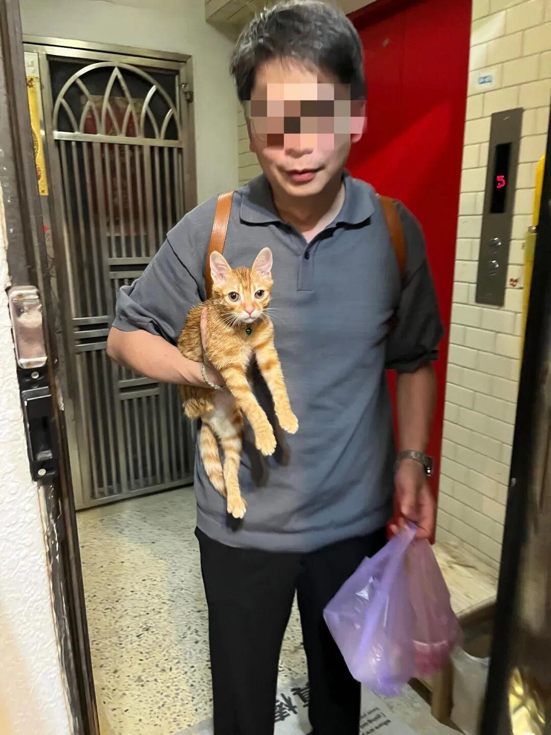 九游体育-博主发现猫逃家立刻去追，抓到猫后才发现自己没穿裤子…咪：这不是变态吗